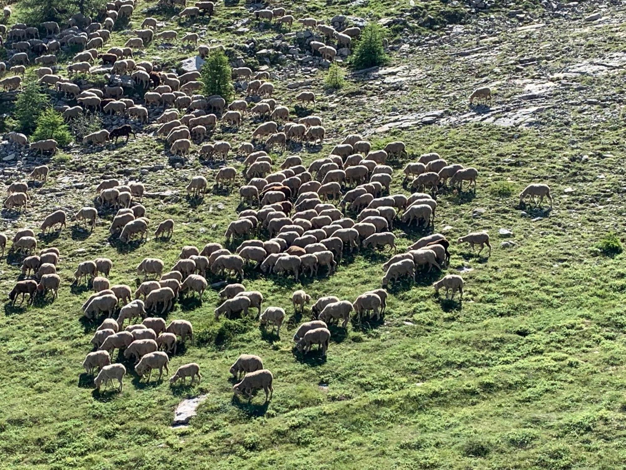 Le Flocon D'Aurouze 522, Appartement 4 Personnes, La Joue Du Loup Bagian luar foto